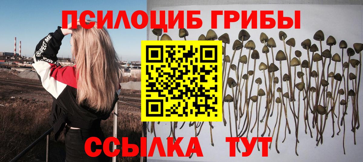Галлюциногенные грибы Psilocybe  Вход с VPN  Волжский  Галлюциногенные грибы Magic Shrooms 